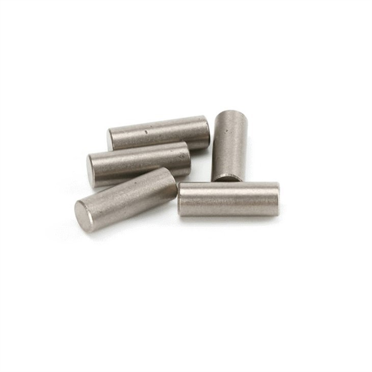 Guitar Pickup Magnet